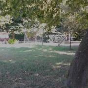 Two Step Wall Flip