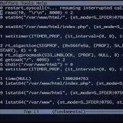 Spying On Apache And PHP With Strace
