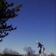 Surface Hopping
