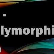 Java Tutorials Urdu NFN 45 Polymorphism