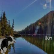 Cow Error 301