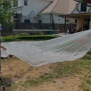 Solarizing Grass In Your Yard