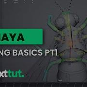 Учебное пособие по Maya Основы риггинга часть 1