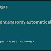 CS 3D Imaging Auto Segment Anatomy Tool