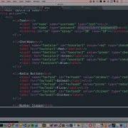 Learning HTML Form Elements