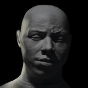 3ds Max Face Animation Avi