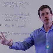 Types Of Catalysis