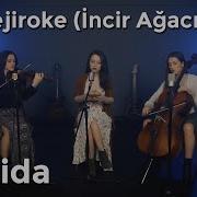 Samida Dar Hejiroke İncir Ağacı