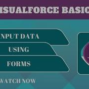 Salesforce Trailhead Input Data Using Forms
