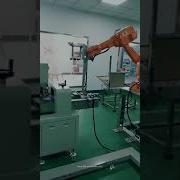 Robot Hand Cookie Biscuit Bag Inserting Carton Box Packing Machine