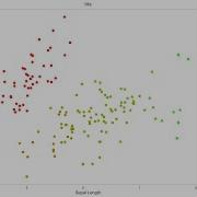R Studio Tutorial Creating Fancy Jitter Plots With GGPlot