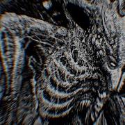 HIDEOUS DIVINITY Delirium Trigger VISUALIZER VIDEO