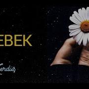 HiraiZerdüş Kelebek ömrü Kadar