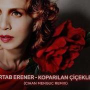 Sertab Erener Koparılan Çiçekler Cihan Menguc Remix