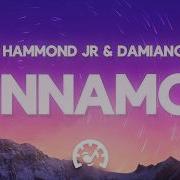 Damiano David Cinnamon Lyrics Ft Albert Hammond Jr