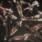 Official Fate Zero Dub Trailer Coming Soon To Neon Alley