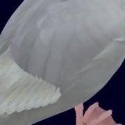 Goose Sparse Voxel Octree