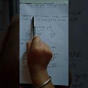 Instruction Cycle Machine Cycle T States