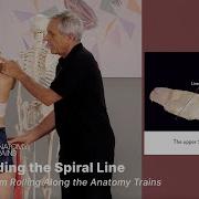 Reading The Spiral Line With Tom Myers Rolling Along Anatomy Trains