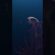 Don T Dive Too Deep It S Really Scary Thalassophobia Deepsea Shorts
