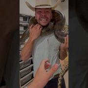 Anacondas Are The Strongest Snake In The WORLD