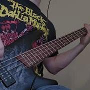 Fulci Eye Full Of Maggots Bass Cover