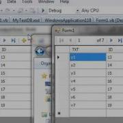 How To Solve Database Concurrency Problem In VB NET