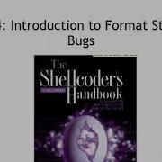 CNIT 127 4 Format String Bugs