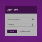 Login Form Using HTML CSS Password Show And Hide Toggle Button Javascript