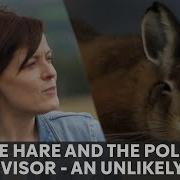 How A Baby Hare Changed A Political Advisor S Life