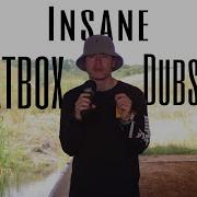 2 MINUTES DUBSTEP BEATBOX INSANITY