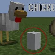 Making An Actual Chicken EGG In Minecraft With Command Blocks