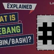 What Is Shebang Bin Bash In Bash Script LinuxSimply