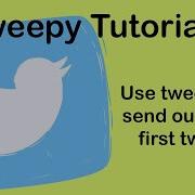 Twitter API Setting Up A Developer Account