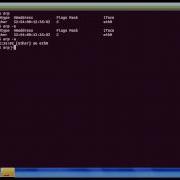 9 Arp Command In Linux