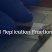 Viral Replication Fractions Isolation From Infected Human Cells Protocol Preview