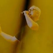 Bad Religion Struck A Nerve Microestadio Malvinas Argentinas Buenos Aires 2026