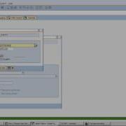 HOW TO USE SCRIPT IN SAP ABAP