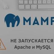 Локальный сервер MAMP Не запускается сервер Apache и MySQL