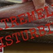 WARNING TAPEWORM PARASITE SUSHI Would You Eat This Fish