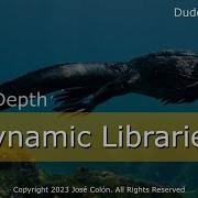 Zig In Depth Dynamic Libraries
