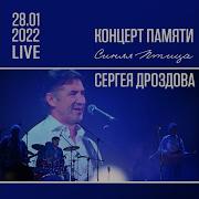 В море ходят пароходы Live