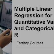 Multiple Linear Regression With Quantitative And Categorical Variables With R