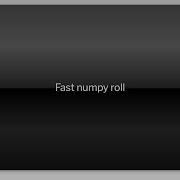 Fast Numpy Roll