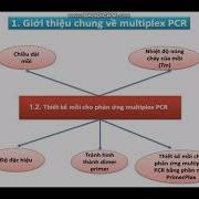 Bài Giảng Kỹ Thuật Multiplex PCR