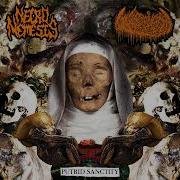 Necronemesis Gangrenesia Puerto Rico Putrid Sanctity Split 2025