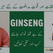 Ginseng Benefits In Urdu How To Use Ginseng Nutrifactor Ginseng Performance And Immunity Booster