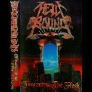 Hellbound Transcend The Flesh 1995 Full Demo