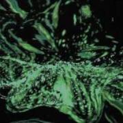 Gary Moore Empty Rooms