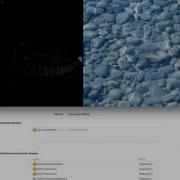 OfxFX Example WaterRipples TEST